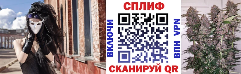 Купить закладки  Каргополь  Каннабис ГИДРОПОН 